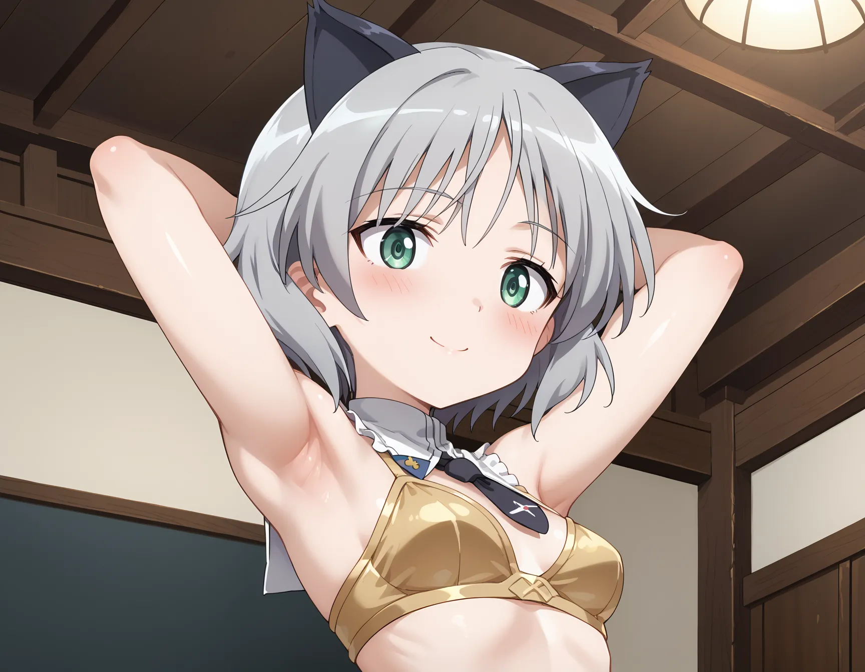 【「下着（ブラジャー・パンティ）」AIエロ画像（イラスト・アニメ・二次元風）15996枚まとめ！(150ページ目)のエロ画像17枚目